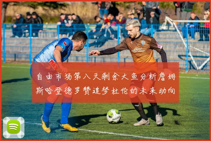 自由市场第八天剩余大鱼分析詹姆斯哈登德罗赞追梦杜伦的未来动向