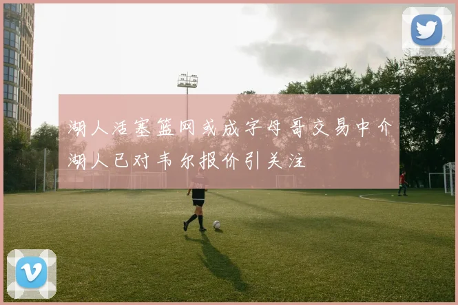 湖人活塞篮网或成字母哥交易中介湖人已对韦尔报价引关注
